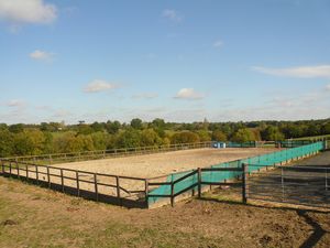 Stables, Cranbrook Road, Tenterden - For Sale  Cranbrook Road Tenterden Kent TN30 6UN - Angela Hirst - Estate Agents and Chartered Surveyors Farm and Land Agency in Kent and East Sussex